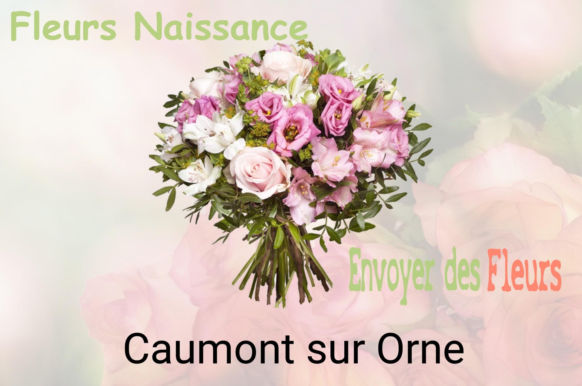 Bouquet de fleurs de naissance livré à Caumont-sur-Orne