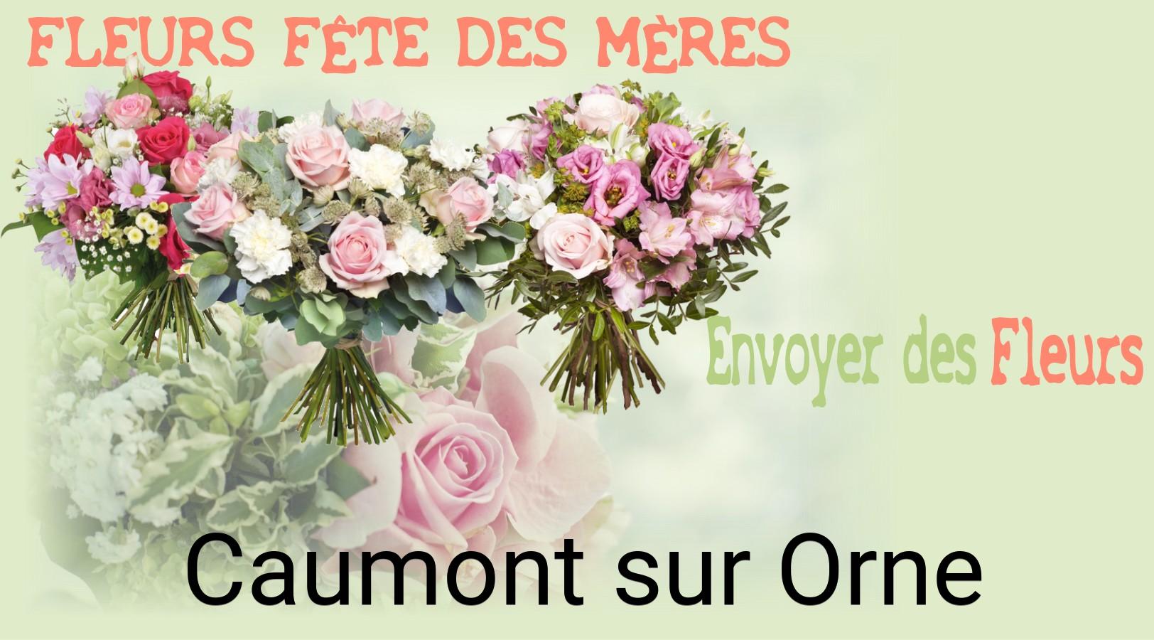 Bouquet de Fête des Mères livré à Caumont-sur-Orne